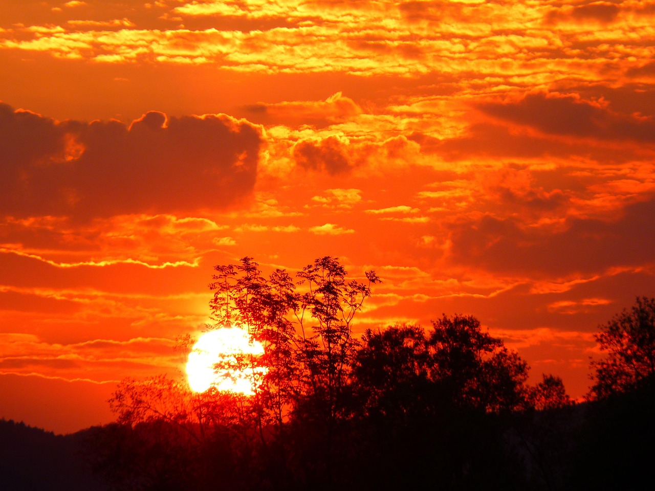 Atardecer dorado con horizonte despejado